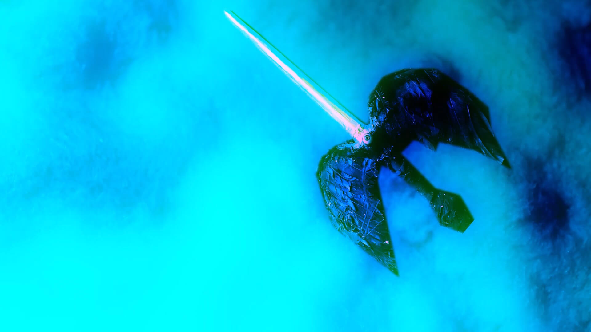 Dusk sword form Animation still